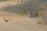 Yala National Park